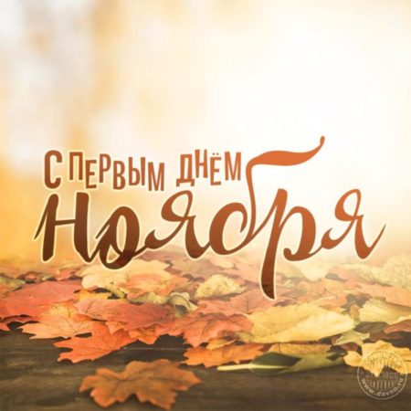 Солнечная открытка с первым ноября.