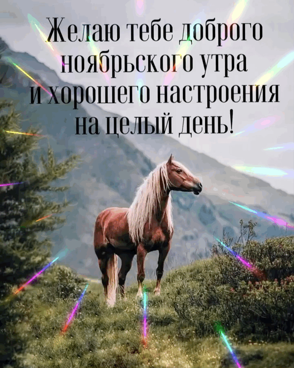 Хостинг картинок yapx.ru