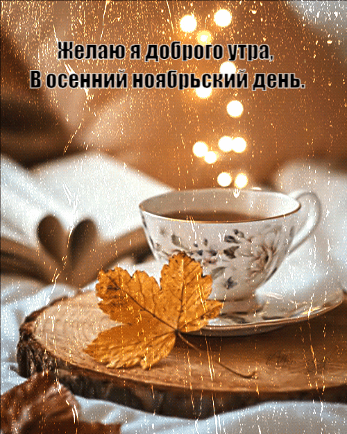 Хостинг картинок yapx.ru