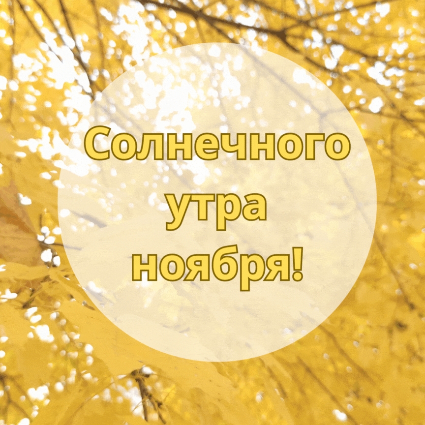 Хостинг картинок yapx.ru