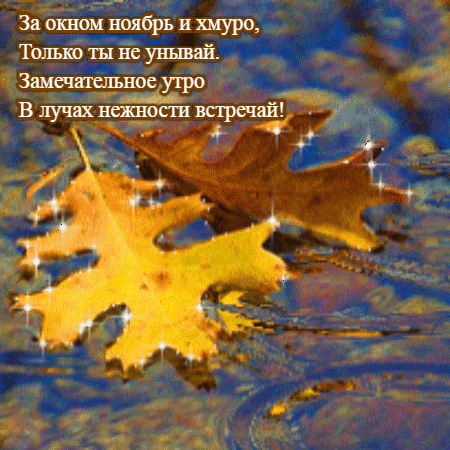 Хостинг картинок yapx.ru