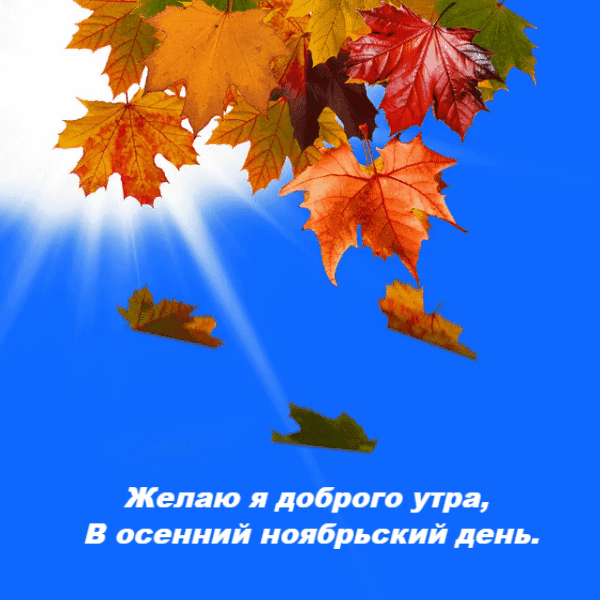 Хостинг картинок yapx.ru