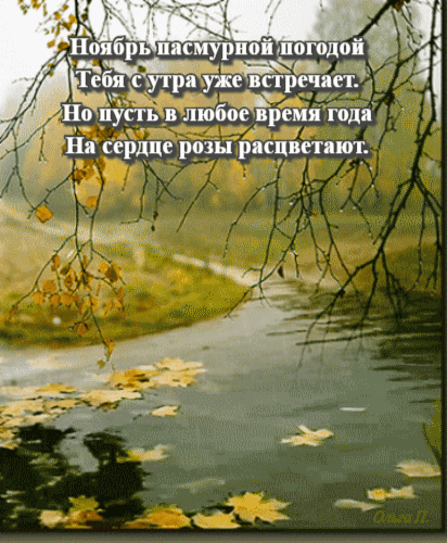 Хостинг картинок yapx.ru