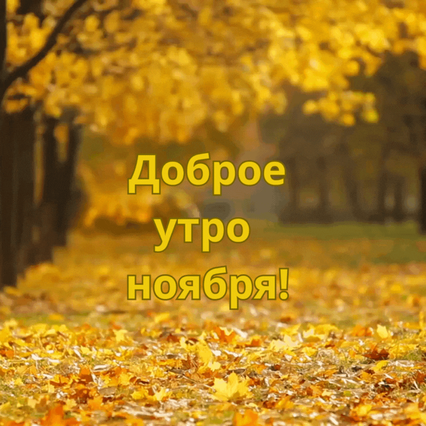 Хостинг картинок yapx.ru
