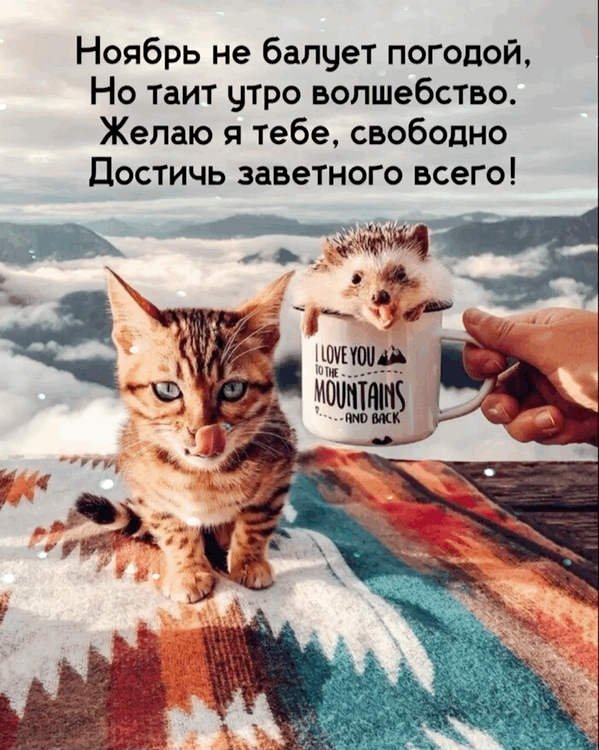 Хостинг картинок yapx.ru