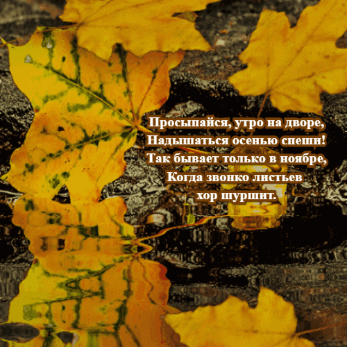 Хостинг картинок yapx.ru