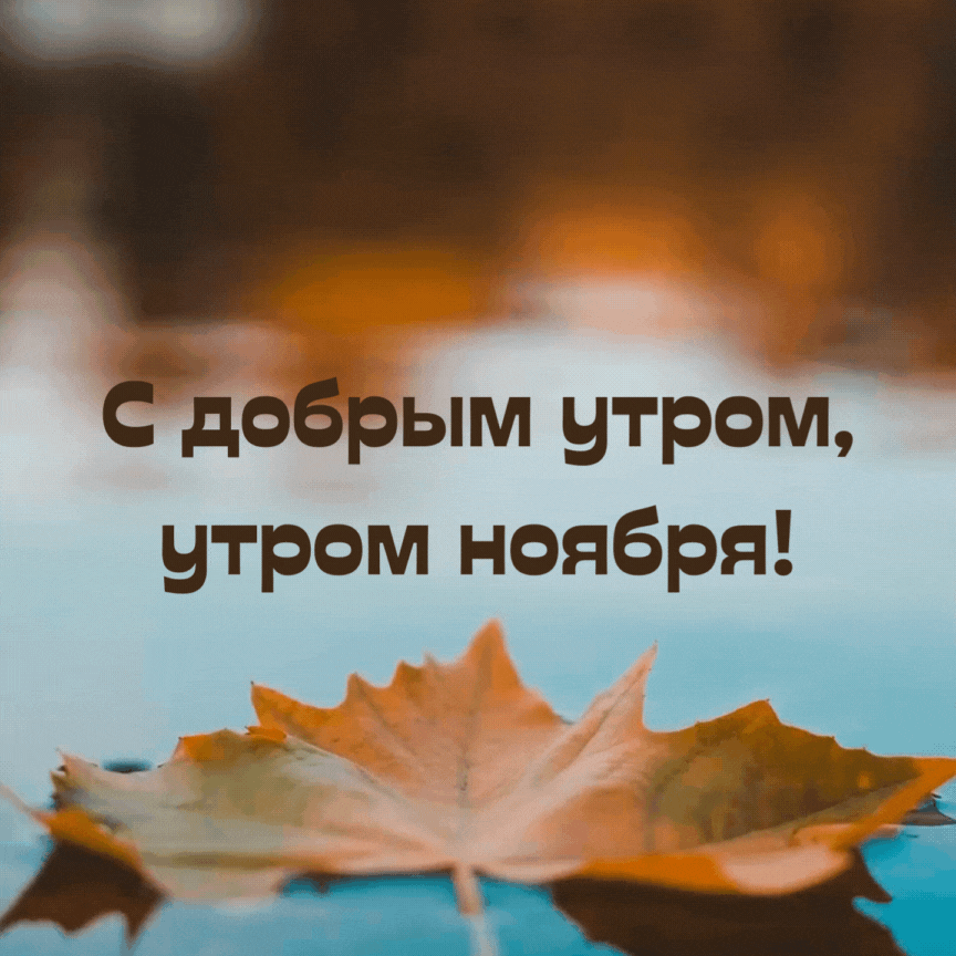Хостинг картинок yapx.ru