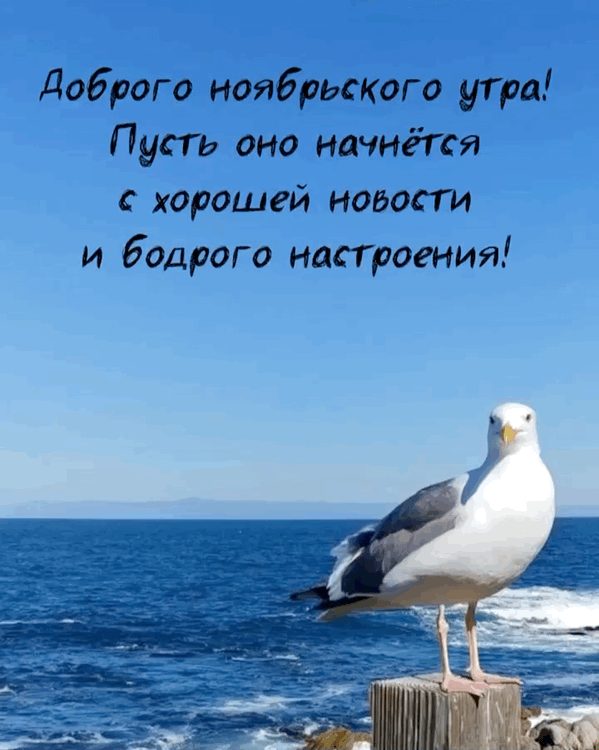 Хостинг картинок yapx.ru