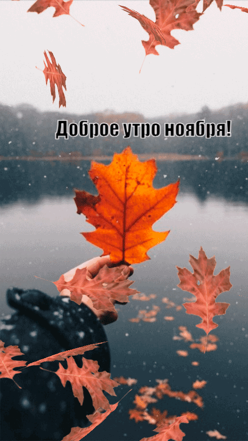 Хостинг картинок yapx.ru