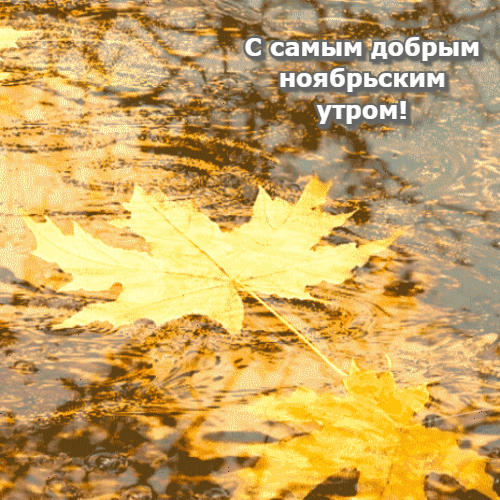 Хостинг картинок yapx.ru