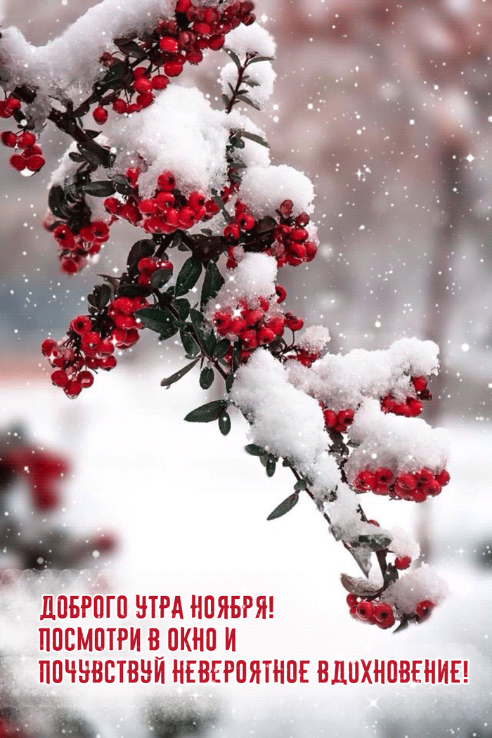 Хостинг картинок yapx.ru