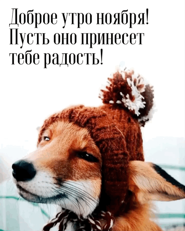 Хостинг картинок yapx.ru