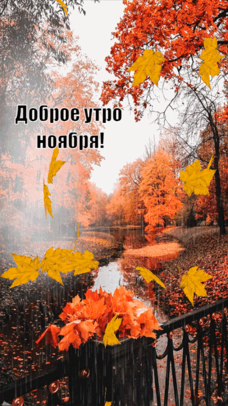Открытки с добрым утром и ноябрьским днем Открытки с добрым утром и ноябрьским днем