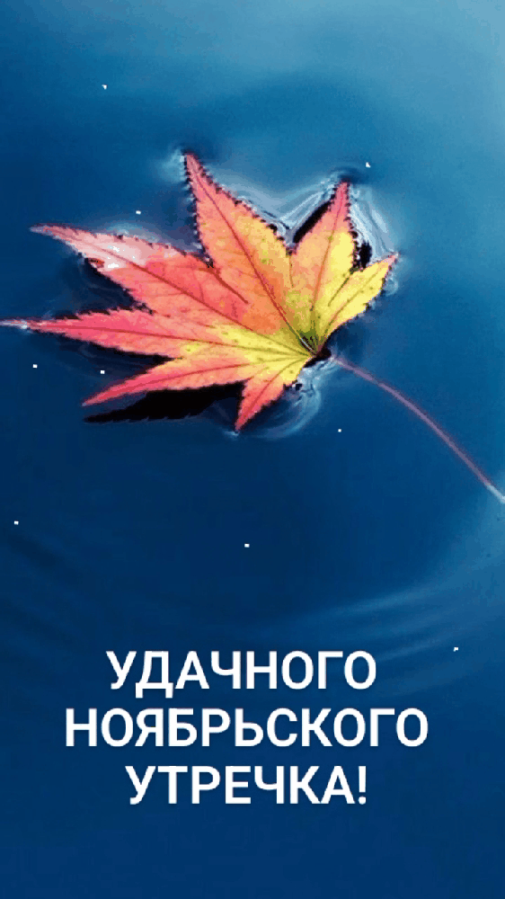 Доброе морозное осеннее утро Доброе морозное осеннее утро
