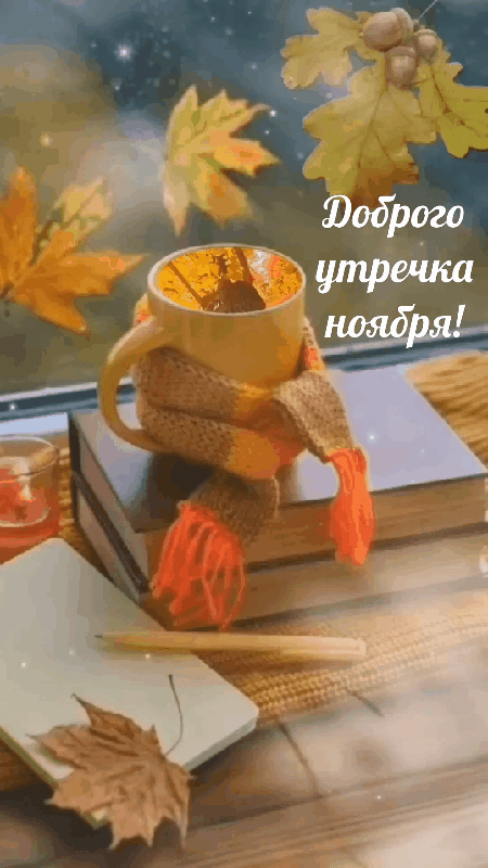 Бодрого ноябрьского утра Бодрого ноябрьского утра