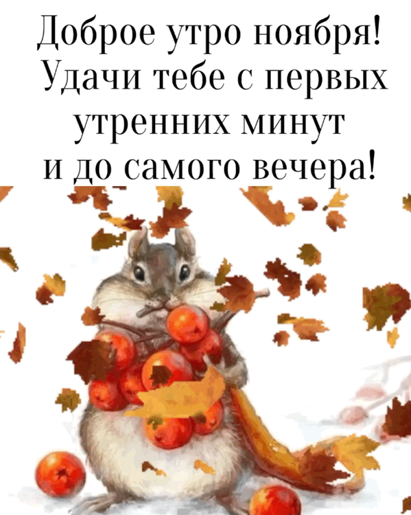 Доброе утро ноябрь Доброе утро ноябрь