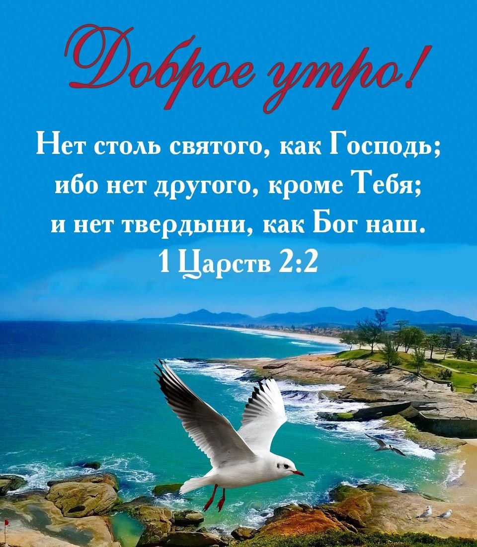 Хостинг картинок yapx.ru