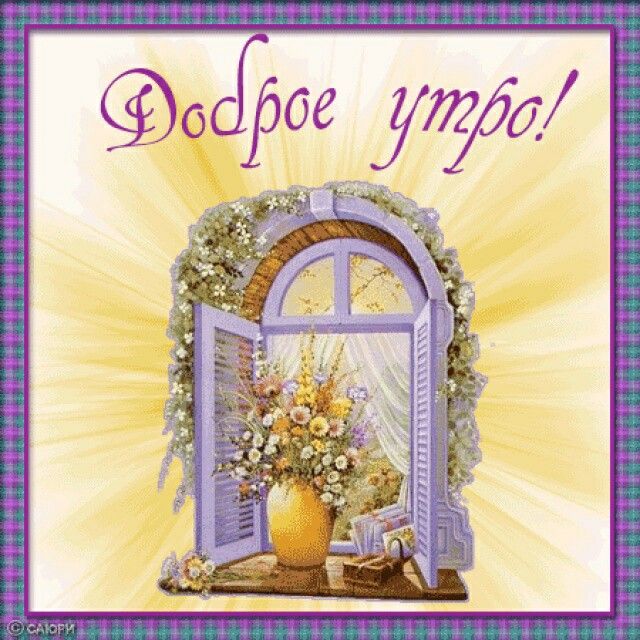 Хостинг картинок yapx.ru