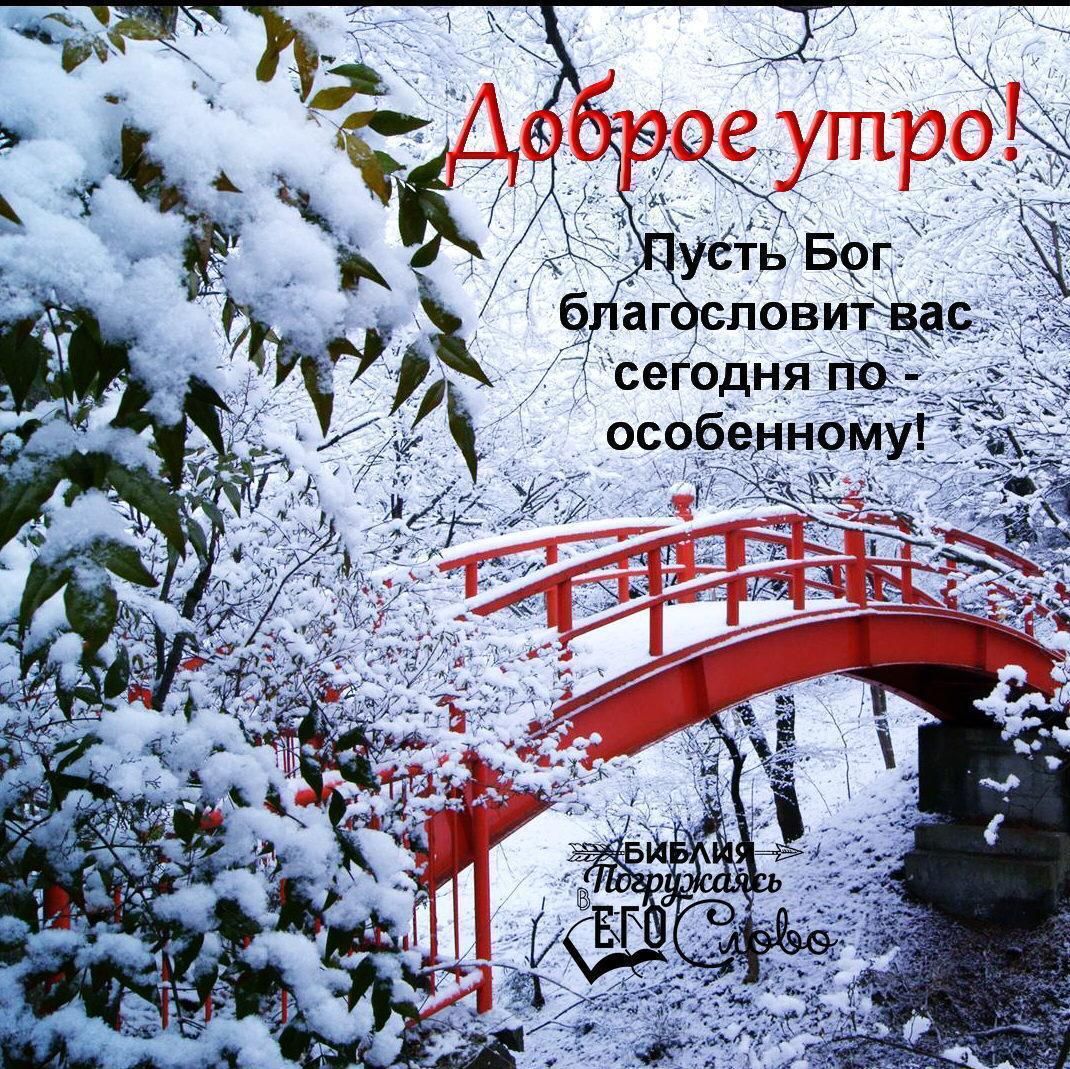 Хостинг картинок yapx.ru