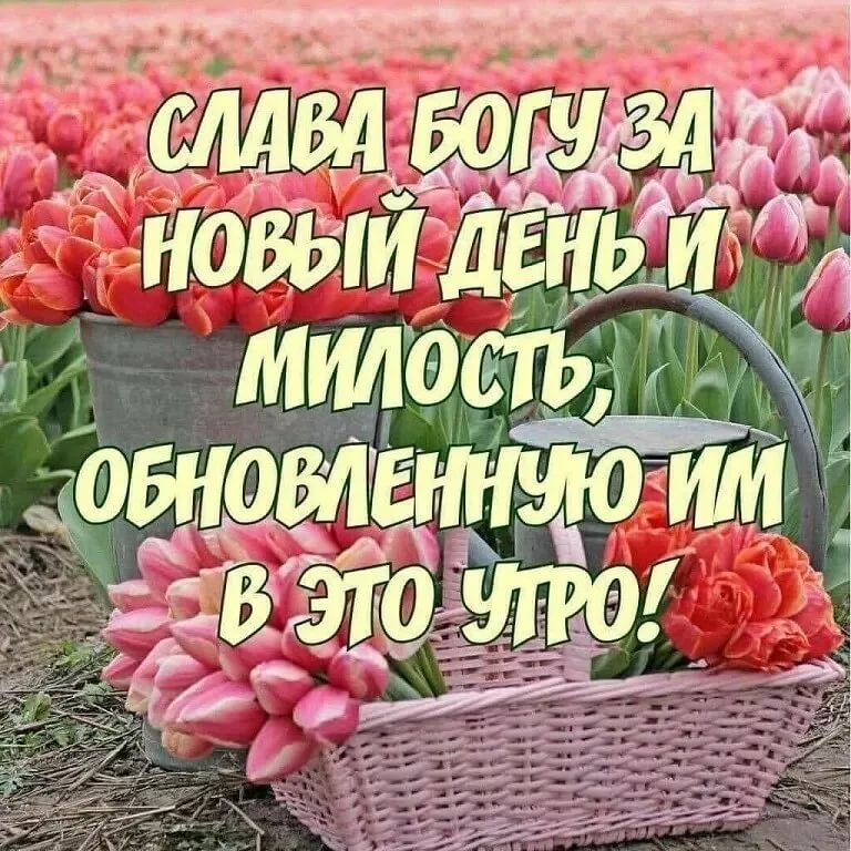 Православные картинки с добрым утром и благословенного дня (80 фото)