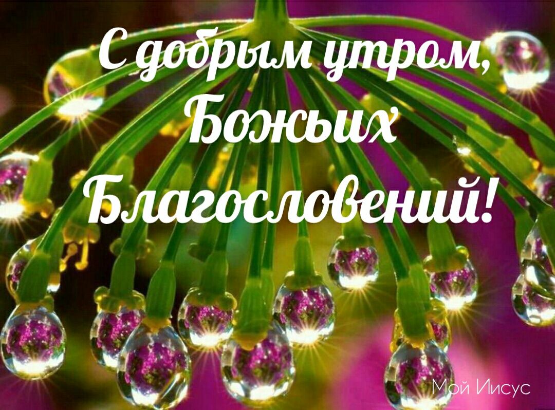Хостинг картинок yapx.ru