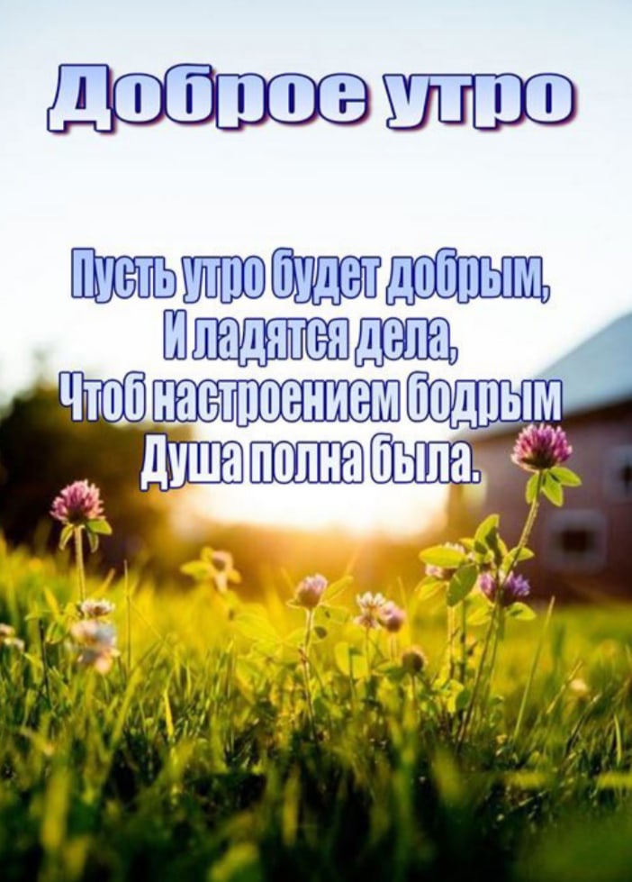 Хостинг картинок yapx.ru