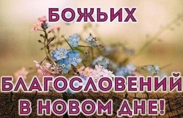 Хостинг картинок yapx.ru