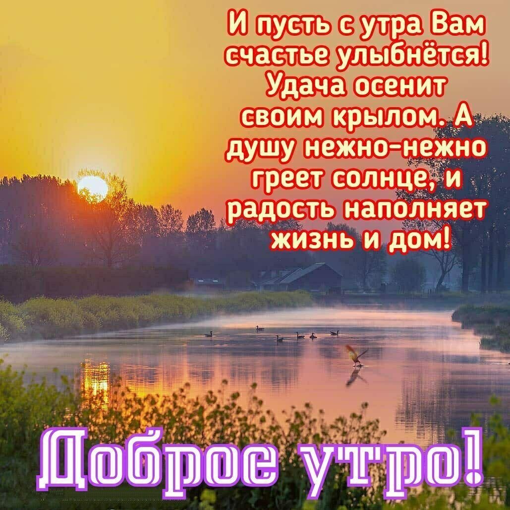 Хостинг картинок yapx.ru