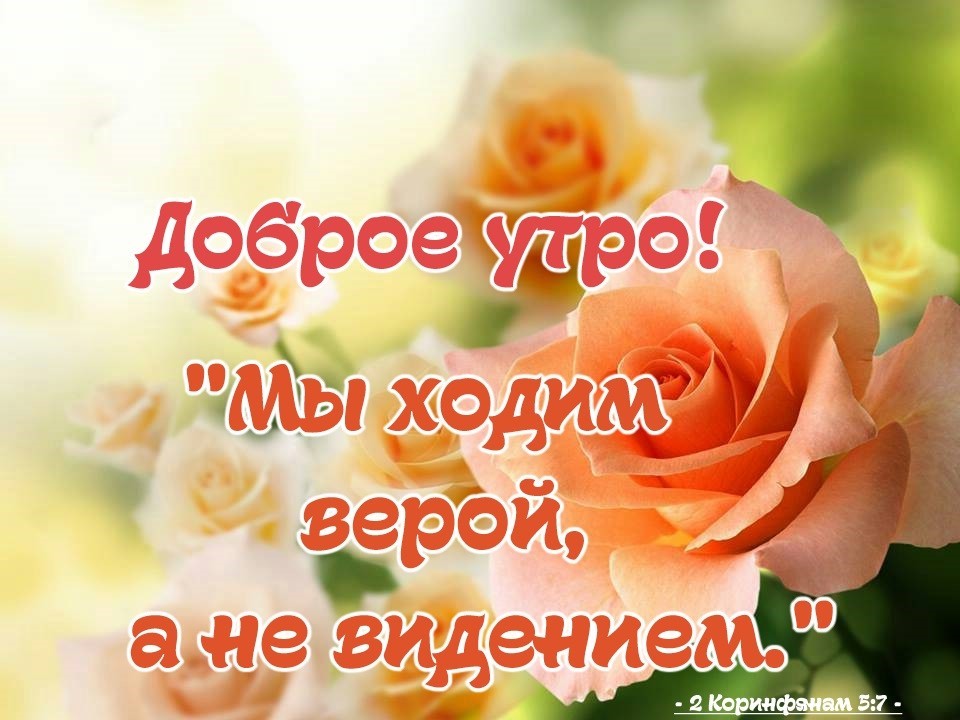 Хостинг картинок yapx.ru