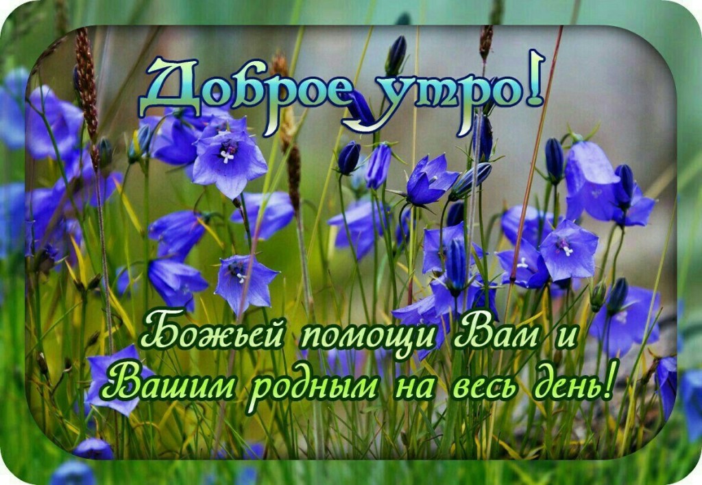 Хостинг картинок yapx.ru