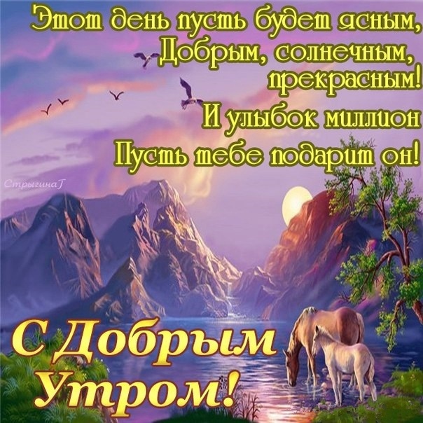 Хостинг картинок yapx.ru