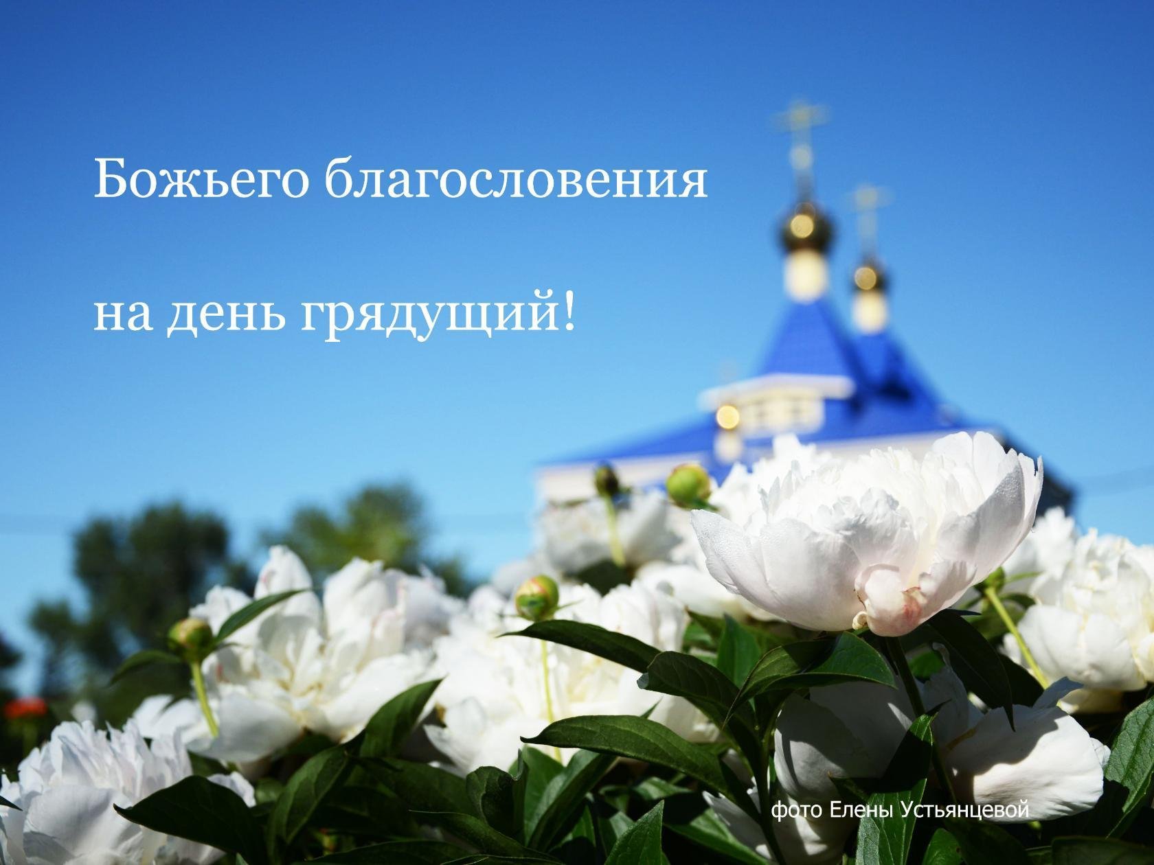 Хостинг картинок yapx.ru