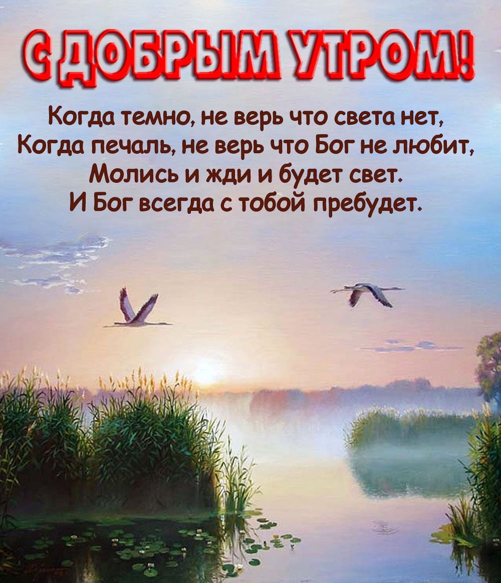 Хостинг картинок yapx.ru