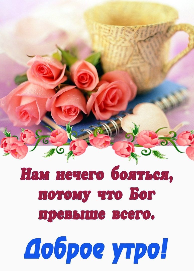 Хостинг картинок yapx.ru