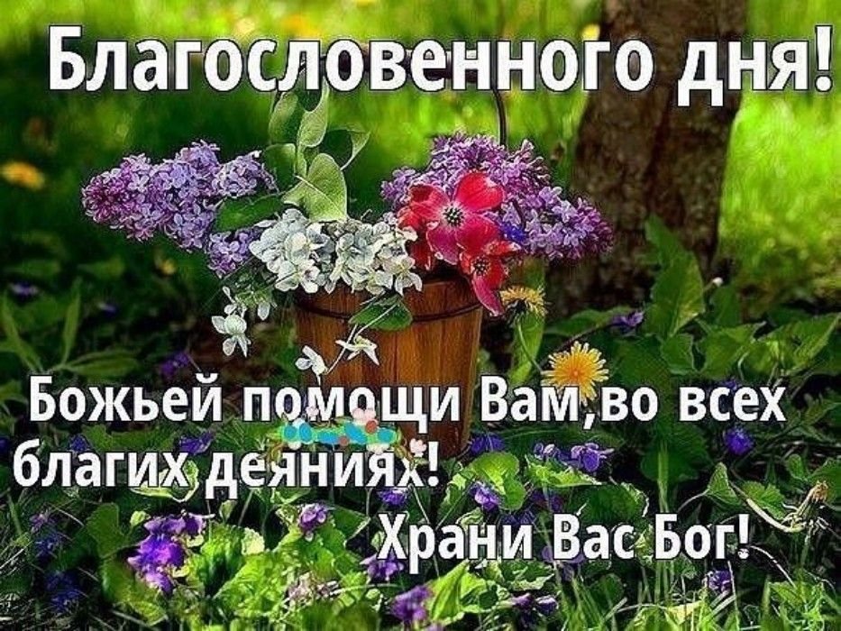 Хостинг картинок yapx.ru
