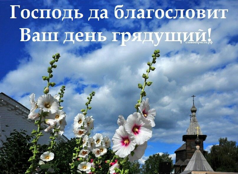Хостинг картинок yapx.ru
