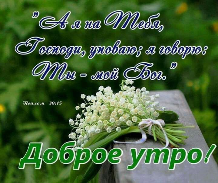 Хостинг картинок yapx.ru