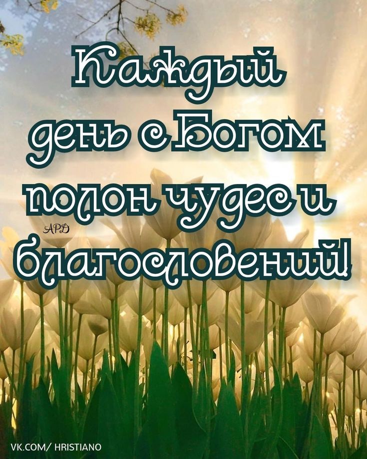 Хостинг картинок yapx.ru