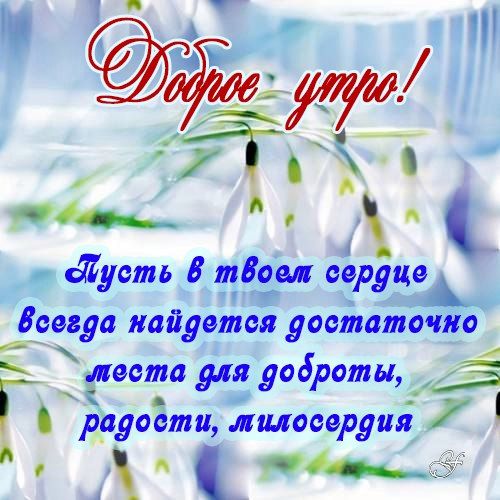 Хостинг картинок yapx.ru