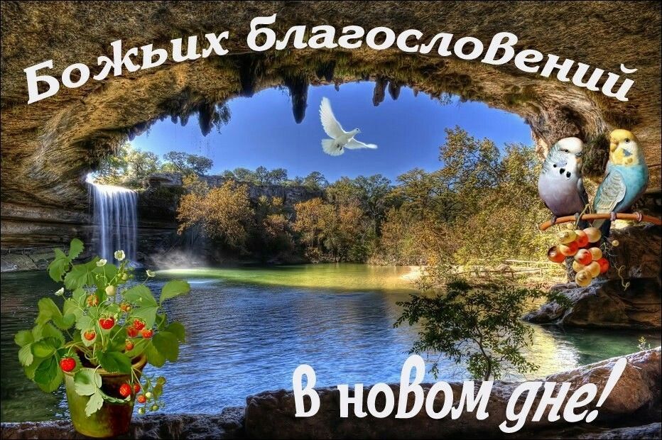 Хостинг картинок yapx.ru