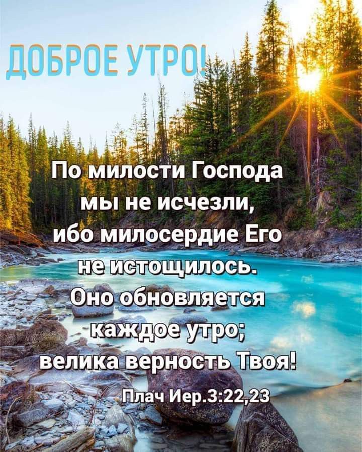 Хостинг картинок yapx.ru