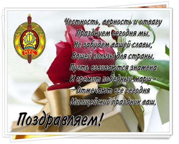 День сотрудника органов внутренних дел Российской Федерации.
