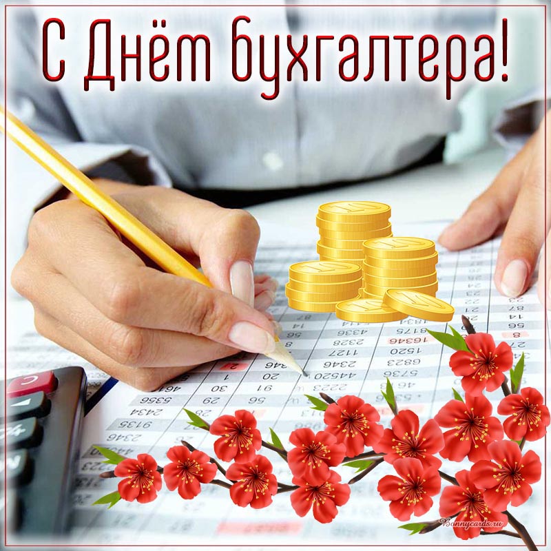Хостинг картинок yapx.ru