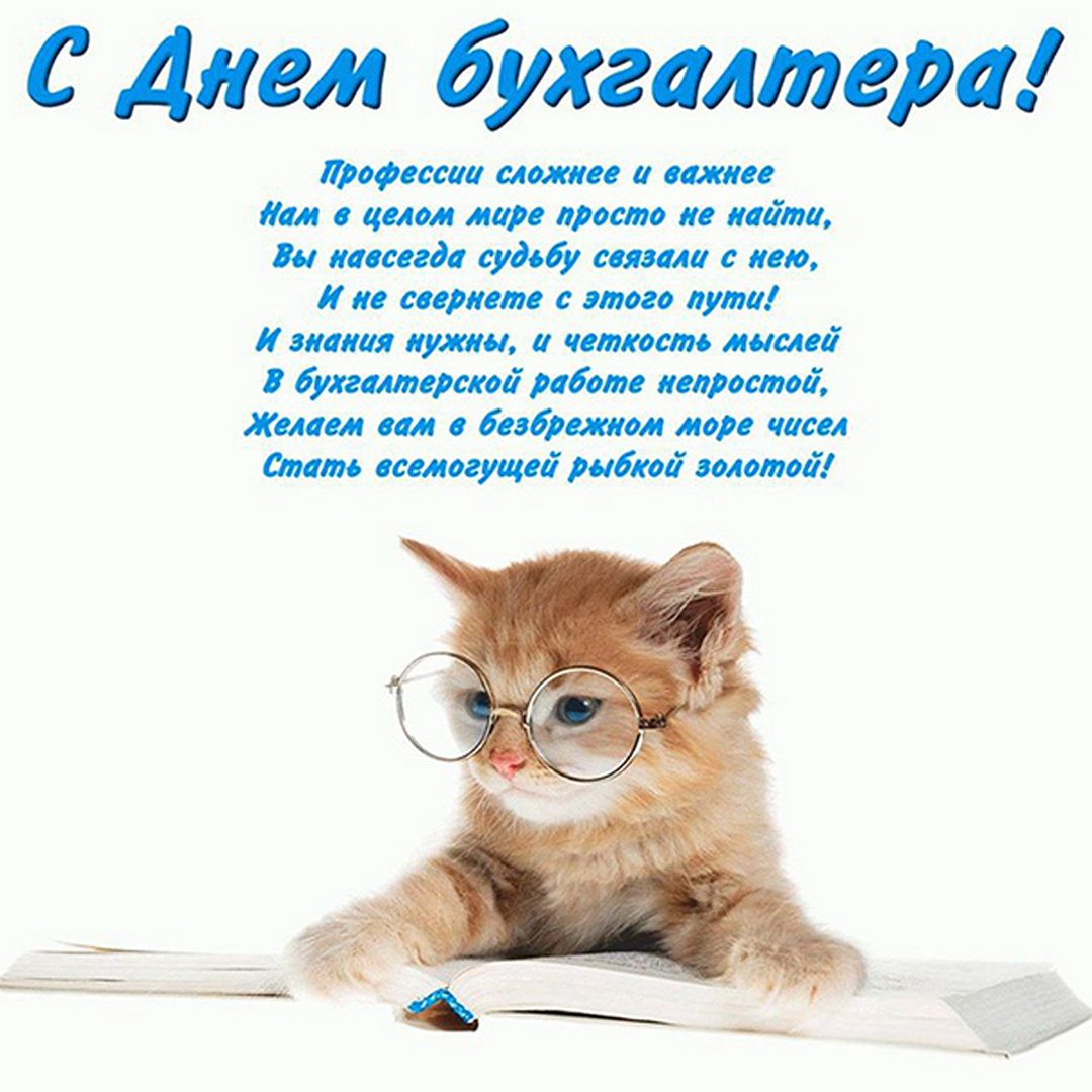 Хостинг картинок yapx.ru
