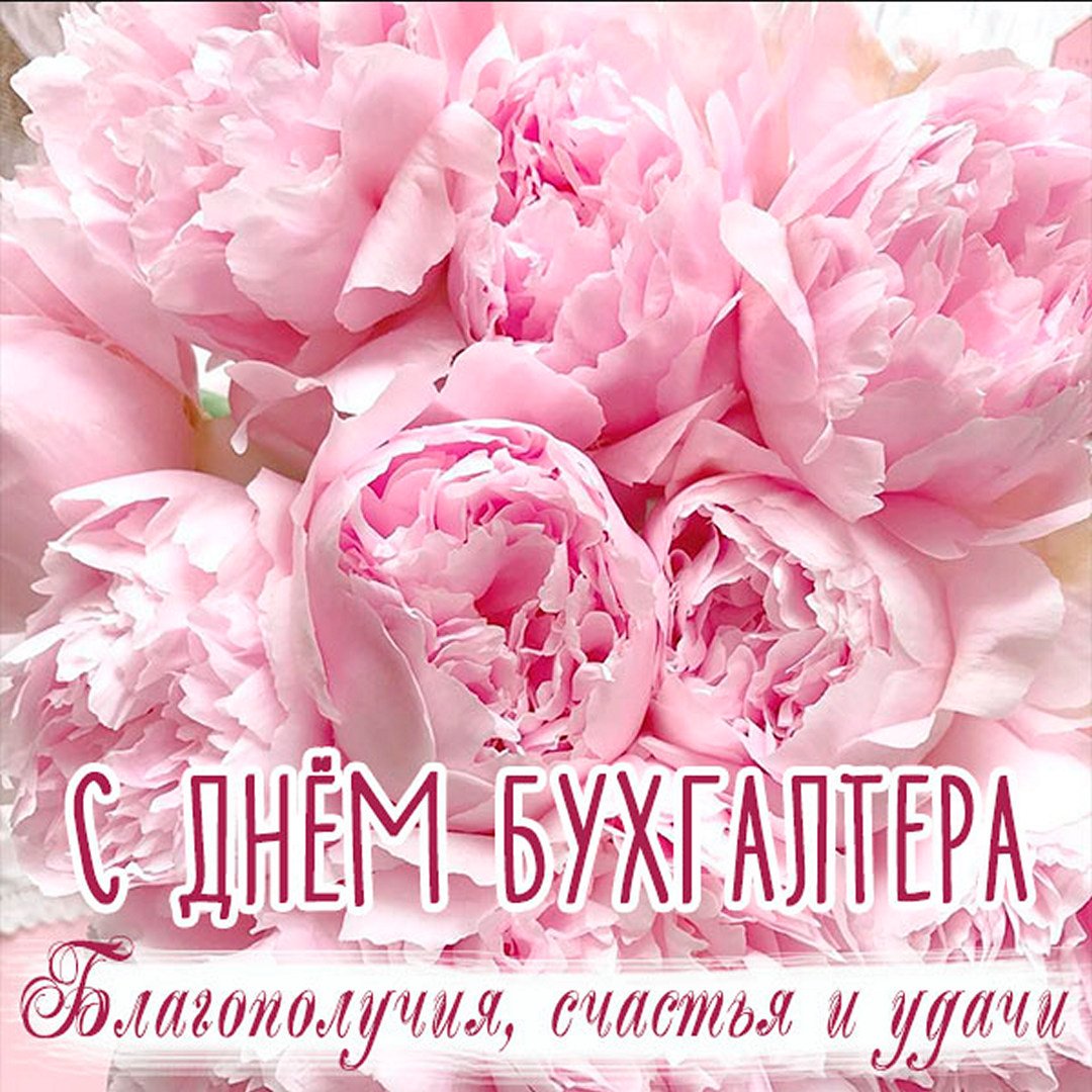Хостинг картинок yapx.ru