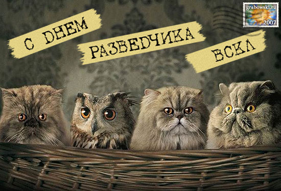 Поздравления с днём разведки Поздравления с днём разведки