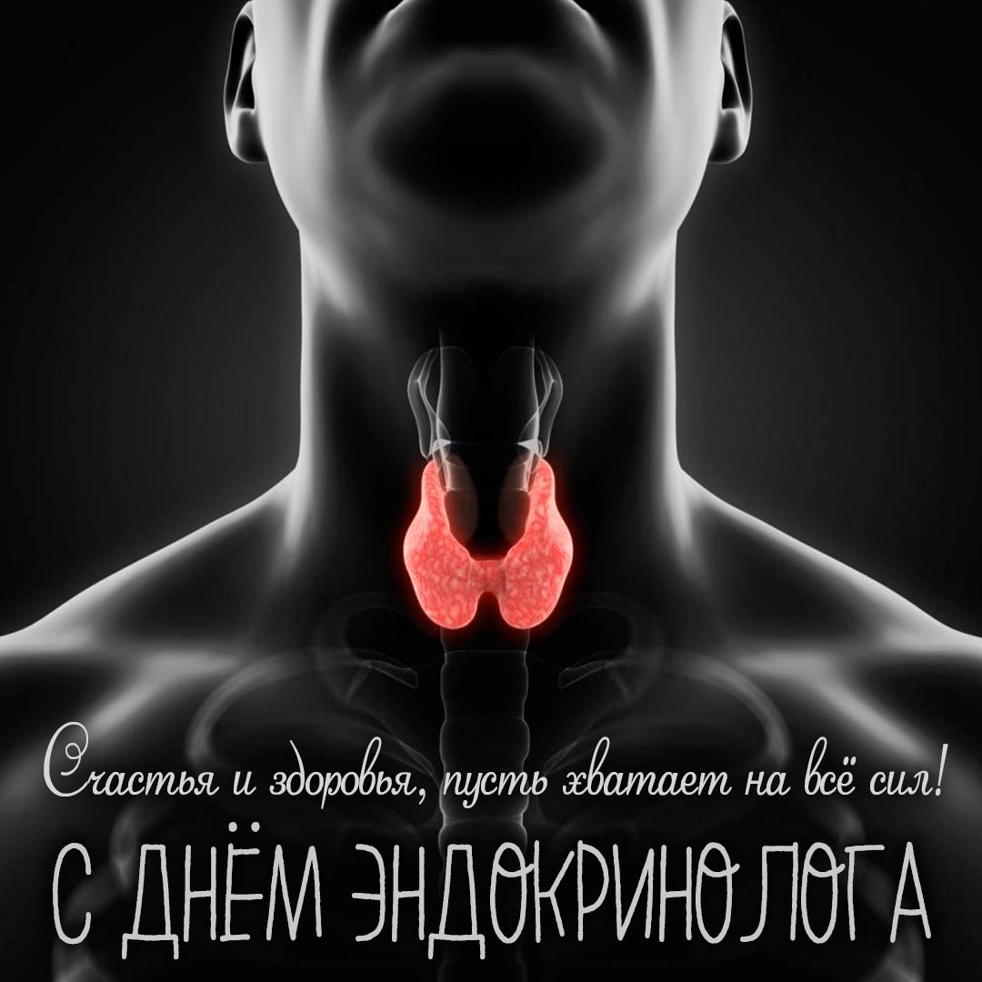 Хостинг картинок yapx.ru