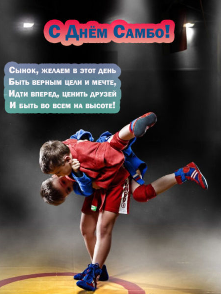 Картинки на Всероссийский день Самбо 16 Ноября