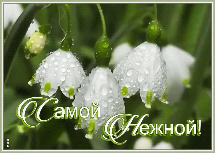 Гифка ландыши самой нежной. Гифка ландыши самой нежной.