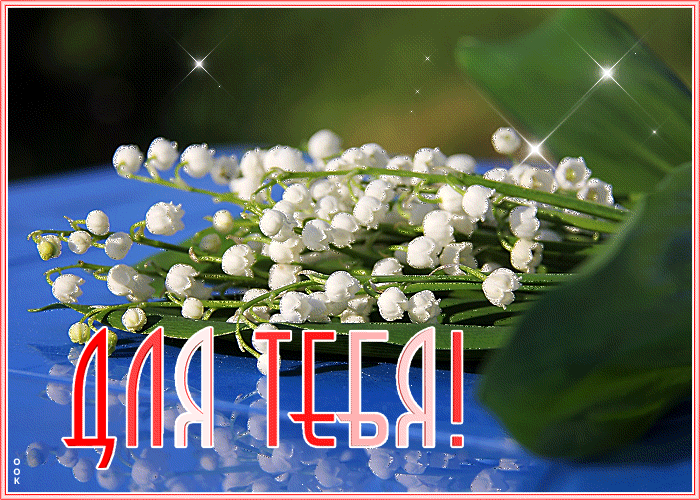 Мерцающая картинка весенний ландыши для тебя! Мерцающая картинка весенний ландыши для тебя!